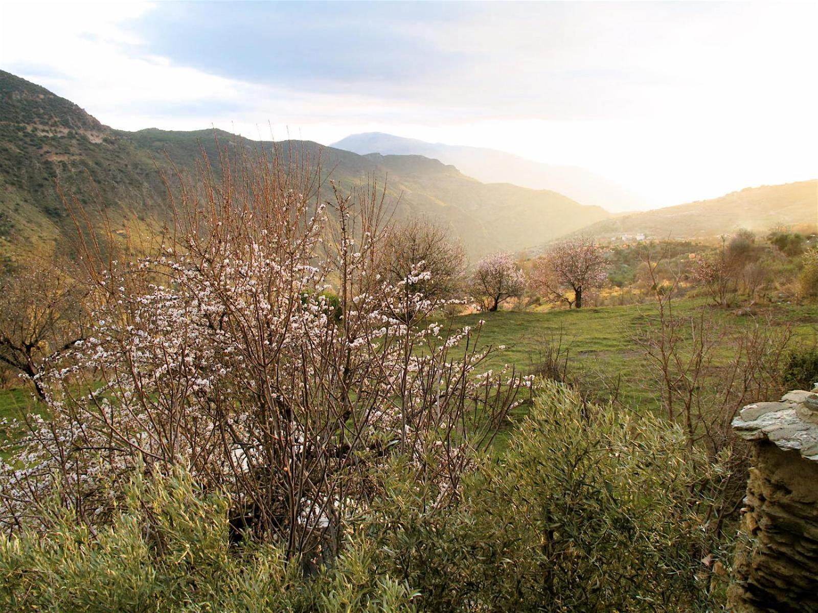 Rural House, Heated Pool & Steam Room, Casa Aloe. Atalbeitar Exterior foto