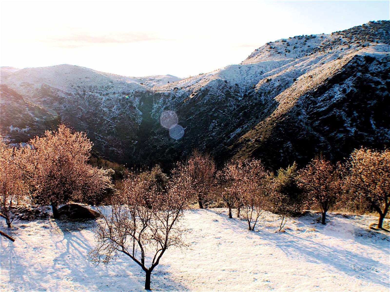 Rural House, Heated Pool & Steam Room, Casa Aloe. Atalbeitar Exterior foto