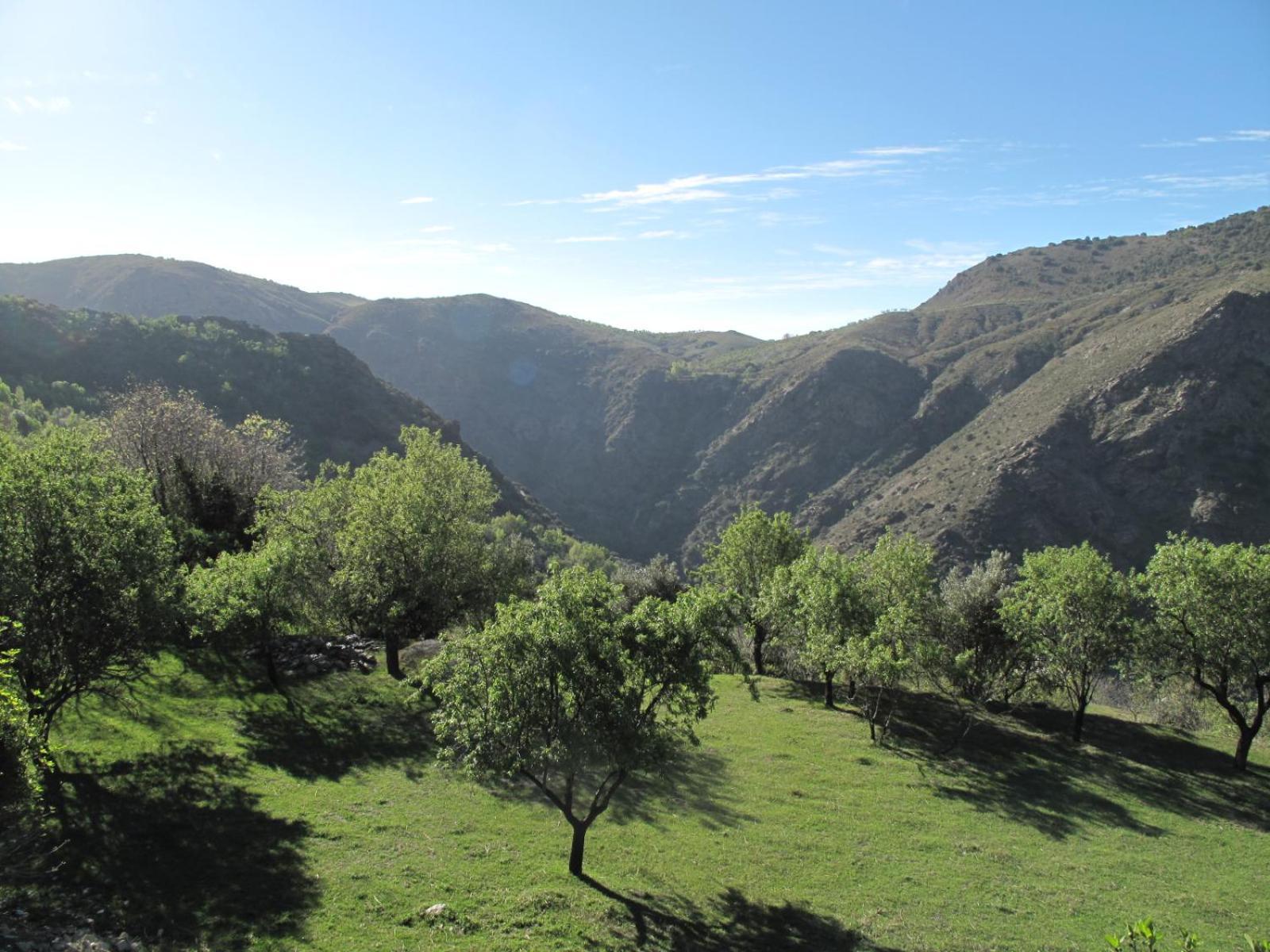Rural House, Heated Pool & Steam Room, Casa Aloe. Atalbeitar Exterior foto