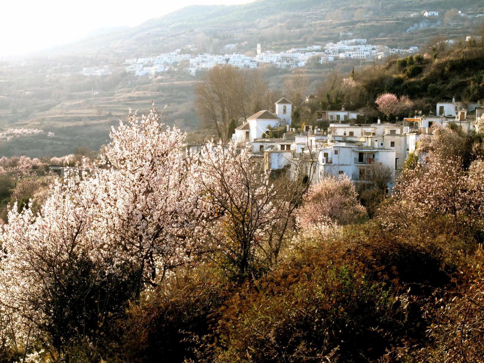 Rural House, Heated Pool & Steam Room, Casa Aloe. Atalbeitar Exterior foto